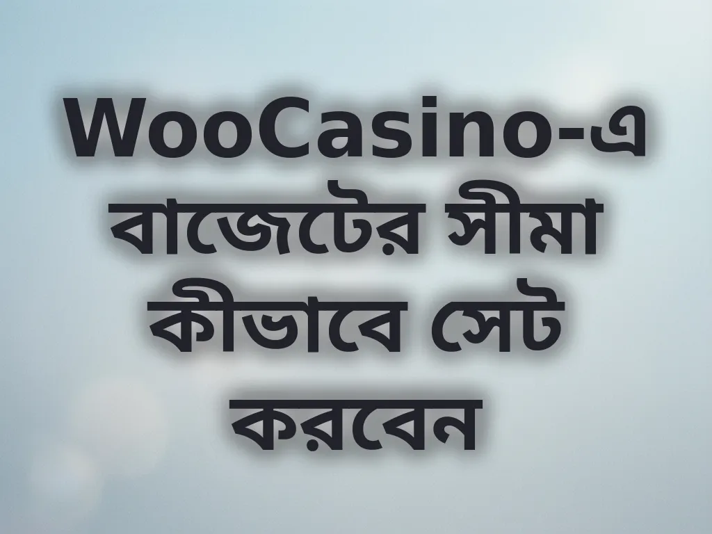 বাজেট লিমিট গাইড